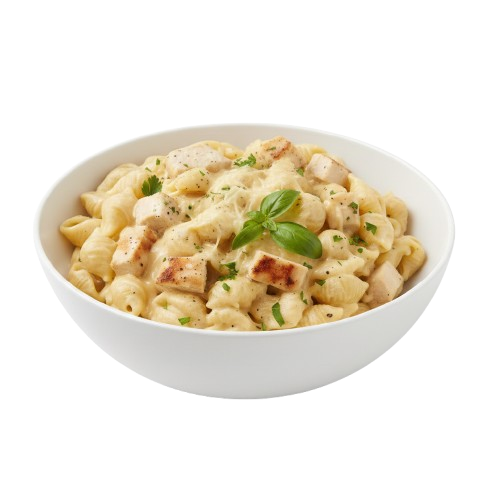 Chicken Cheese Pasta Plate