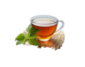Mint Tea